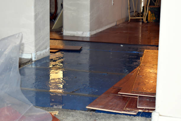 Professional Burst Pipe Water Damage technician working in Whiting, ME